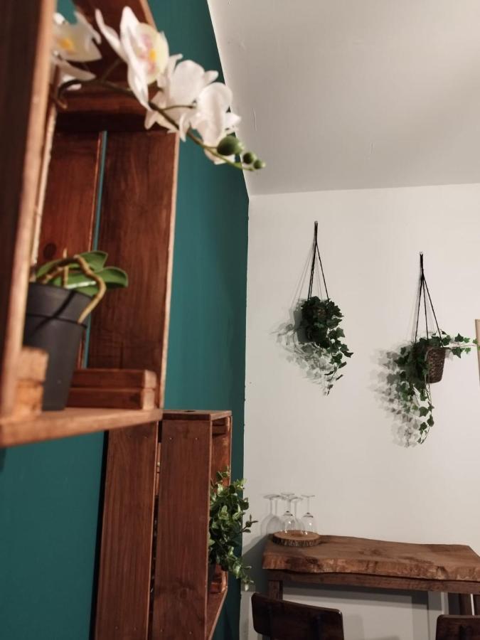 Al Civico 15 Apartment 萨莱诺 外观 照片